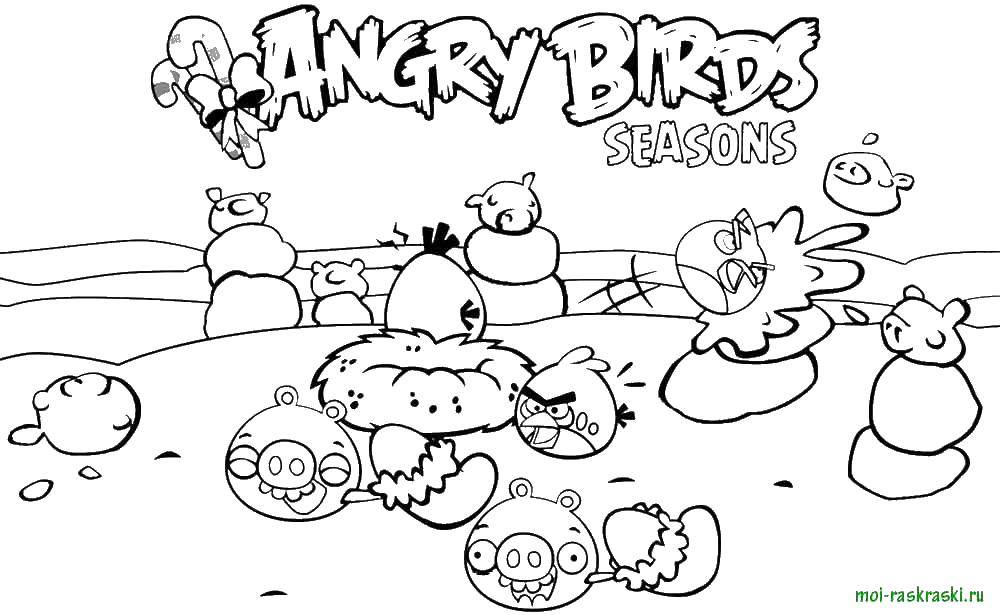 Название: Раскраска Andry birds, игра. Категория: Персонаж из игры. Теги: Angry Birds, персонаж из игры.