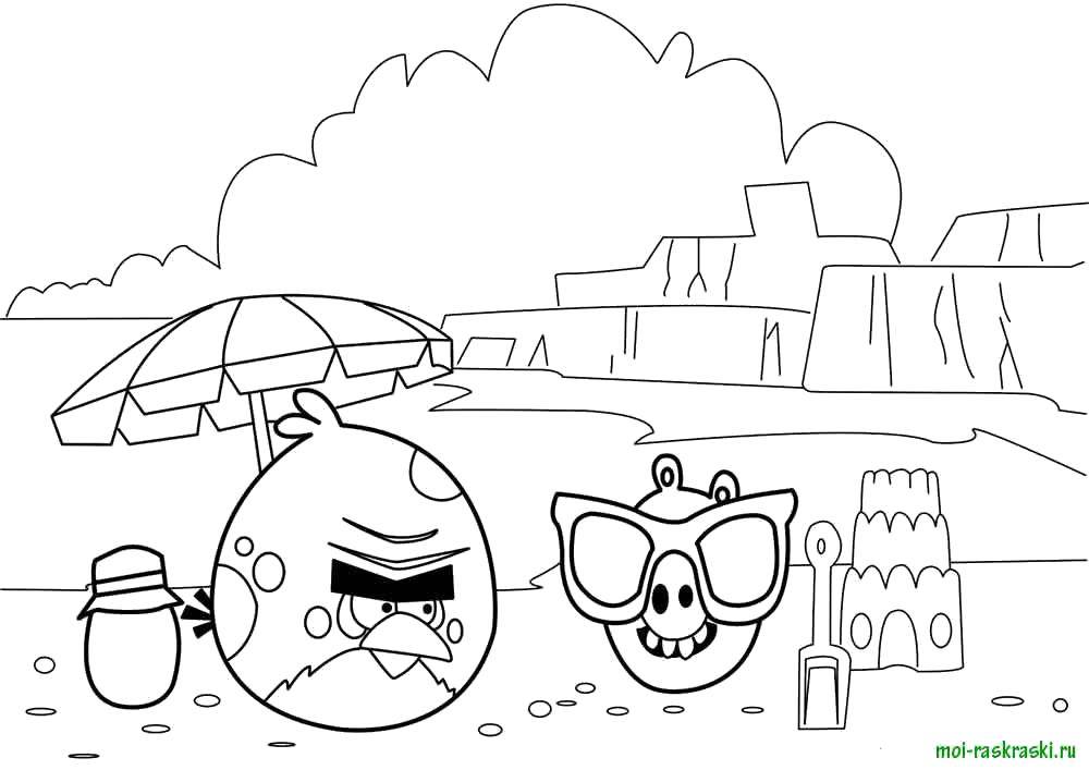 Название: Раскраска Angry birds, игра, пляж. Категория: Персонаж из игры. Теги: Персонаж из игры, пляж, Angry Birds.