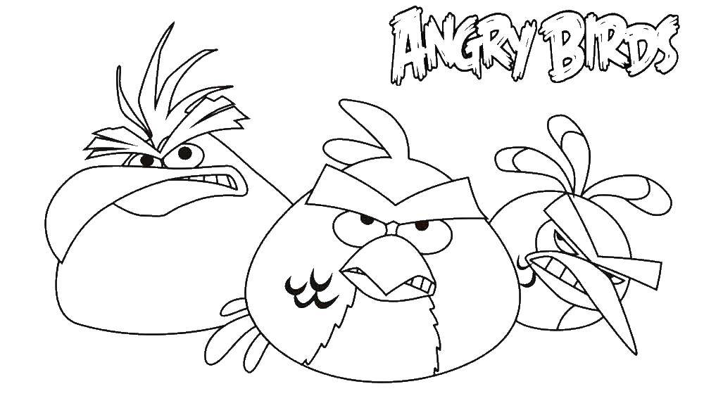 Раскраска Andry birds, игра Скачать ,Angry Birds, персонаж из игры,.  Распечатать 