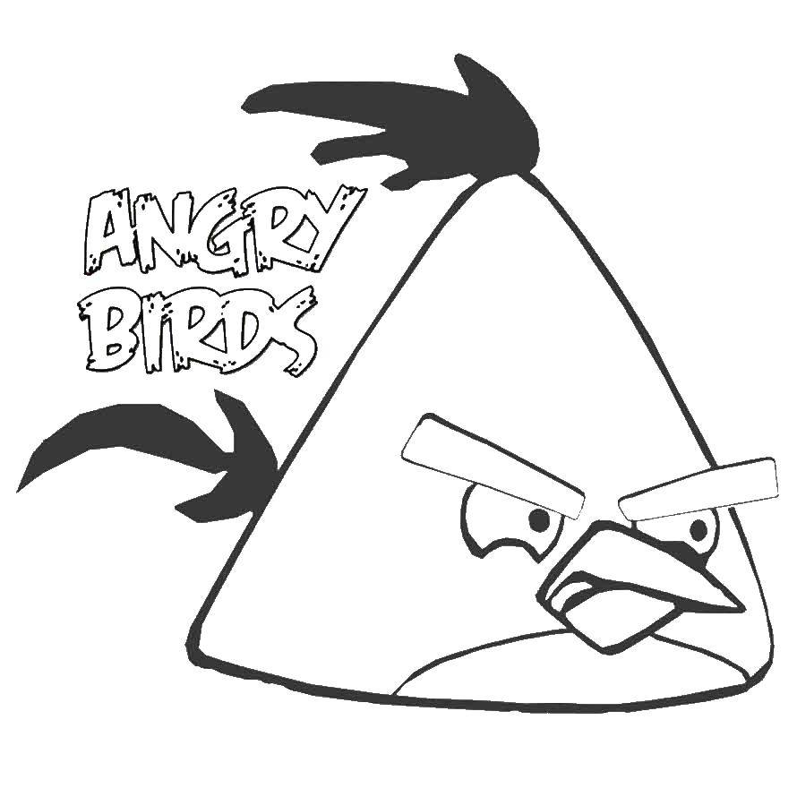 Название: Раскраска Andry birds, игра. Категория: Персонаж из игры. Теги: Angry Birds, персонаж из игры.