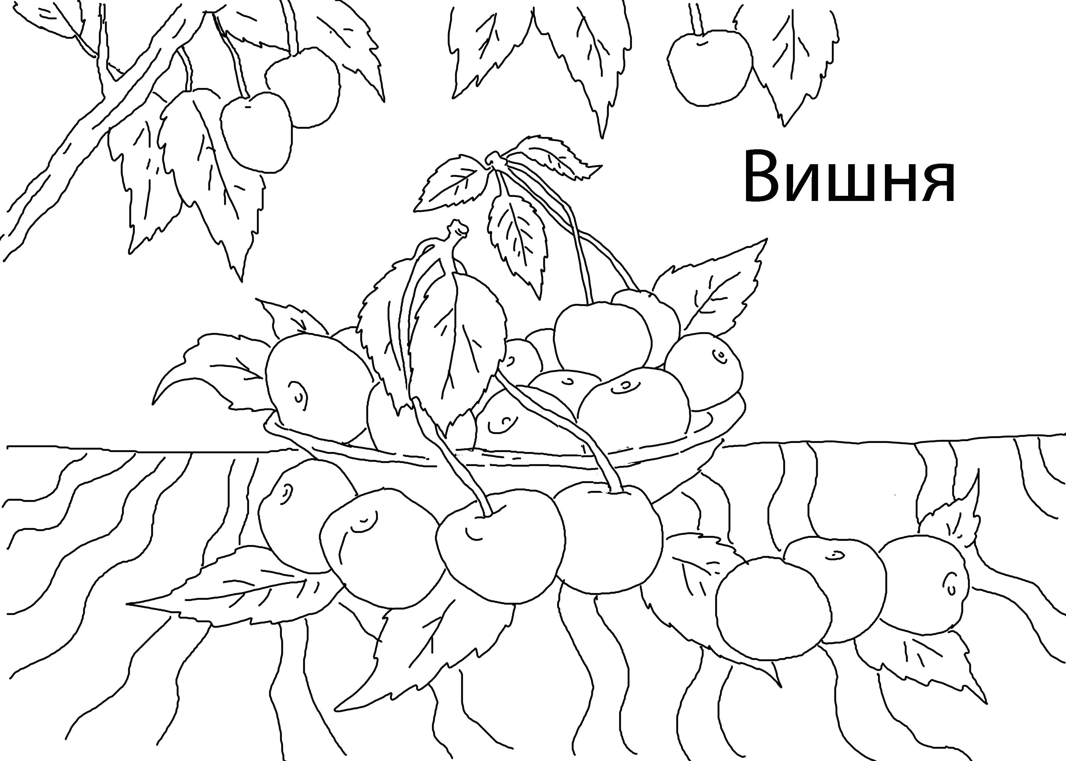 Название: Раскраска Вкусная вишня. Категория: ягоды. Теги: Ягоды, вишня.