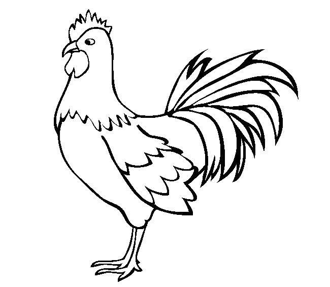 Раскраска птицы Скачать .  Распечатать 
