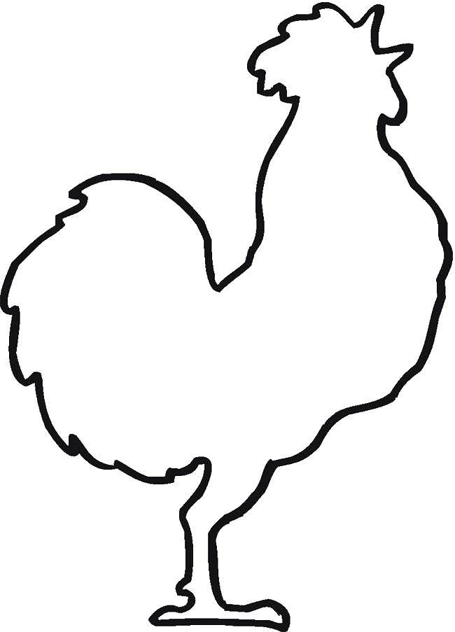 Название: Раскраска Контур петушка.. Категория: Контуры для вырезания птиц. Теги: Контур.