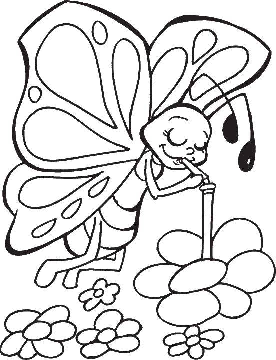 Раскраска Бабочка пьет нектар Скачать ,Бабочка, цветы,.  Распечатать 