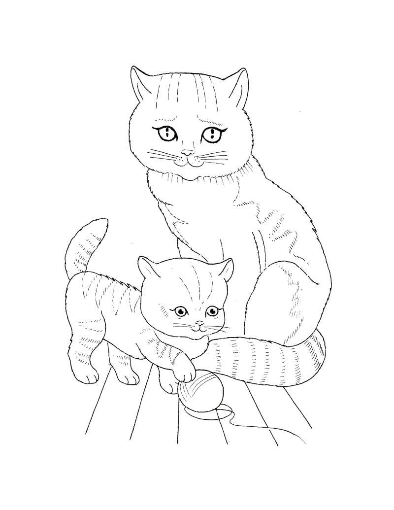 Раскраска Котёночек с мамой Скачать ,Животные, котёнок,.  Распечатать 