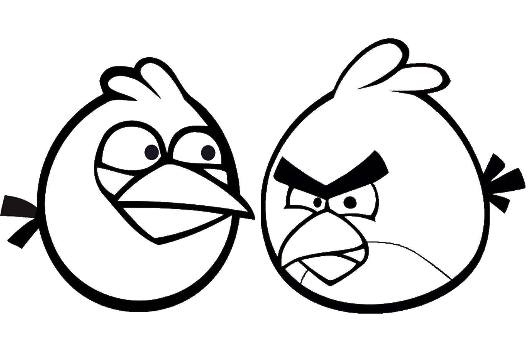 Раскраска Две птицы Скачать ,angry birds, птица,.  Распечатать 