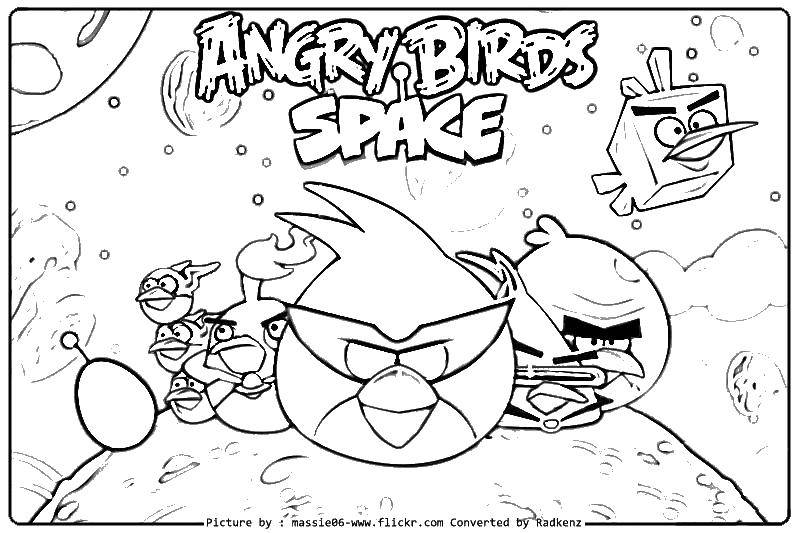 Раскраска Игра angry birds Скачать ,игры, angry birds,.  Распечатать 