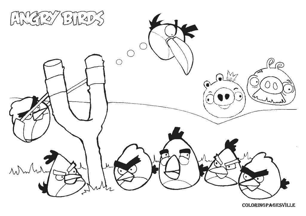 Название: Раскраска Angry birds. Категория: angry birds. Теги: angry birds, игры.