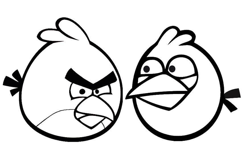 Раскраска Angry birds ред Скачать ,angry birds, ред,.  Распечатать 