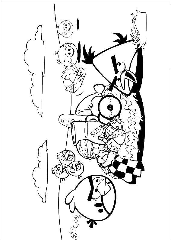 Название: Раскраска Angry birds на пикнике. Категория: angry birds. Теги: angry birds, пикник.