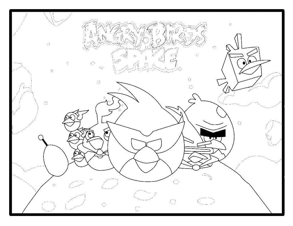Название: Раскраска Angry birds space. Категория: angry birds. Теги: angry birds, космос.