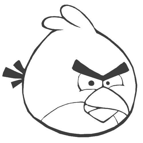 Название: Раскраска Рио. Категория: angry birds. Теги: рио, мультик.