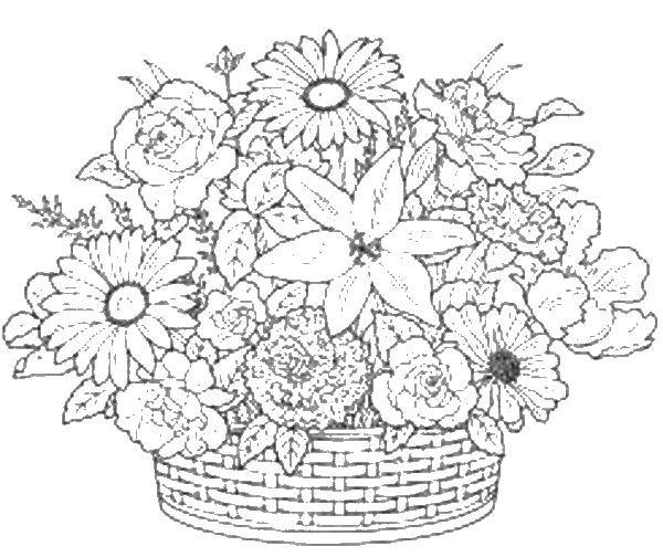 Раскраска Корзина с цветами Скачать ,корзина, цветы, букет,.  Распечатать 