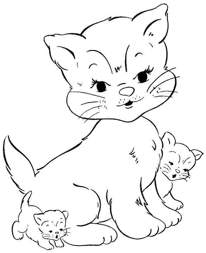Раскраска Кошка мама с котятами Скачать ,кошка, кот,.  Распечатать 