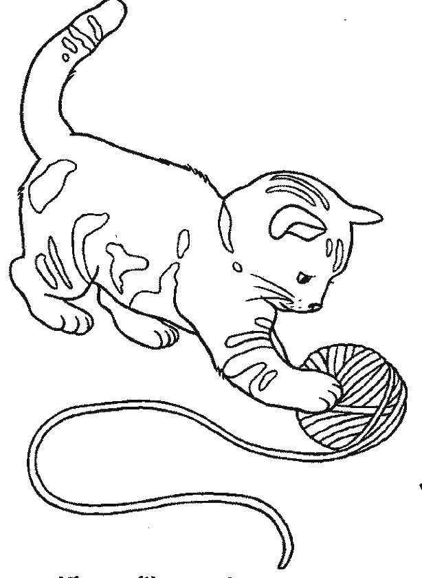 Раскраска Котёнок играет с клубочком ниток Скачать ,Животные, котёнок,.  Распечатать 