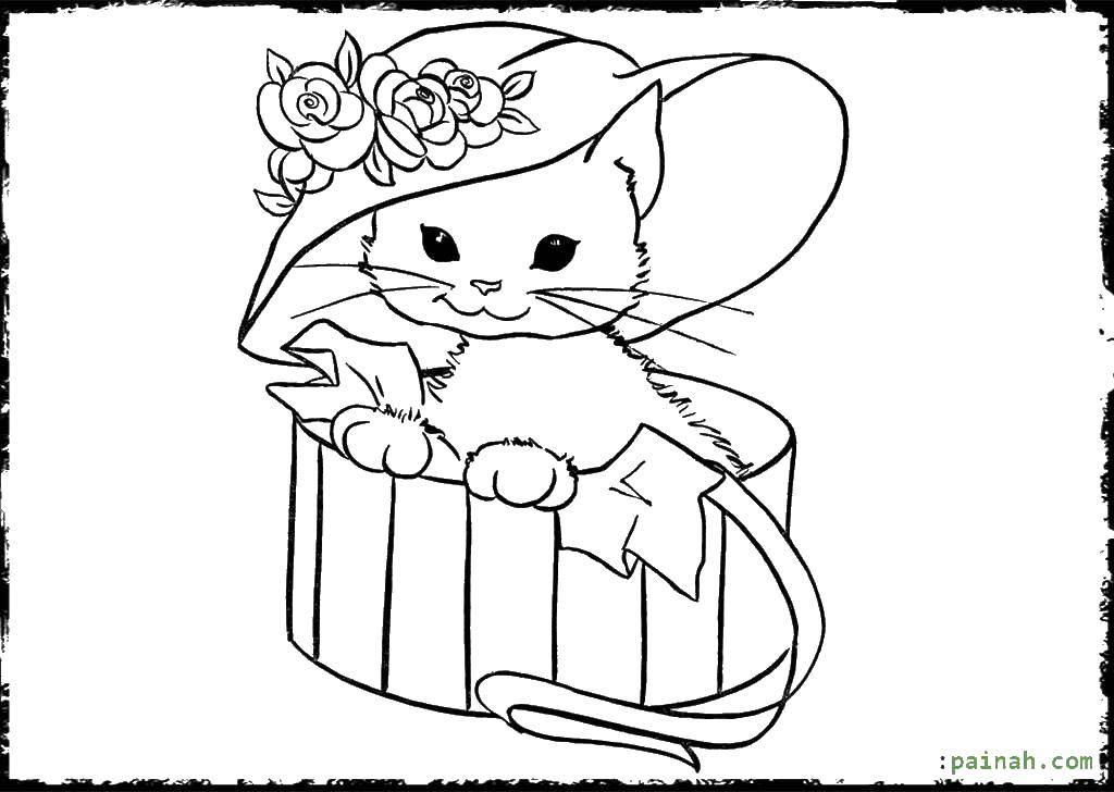 Раскраска Котёнок в коробочке. Скачать ,Животные, котёнок,.  Распечатать 