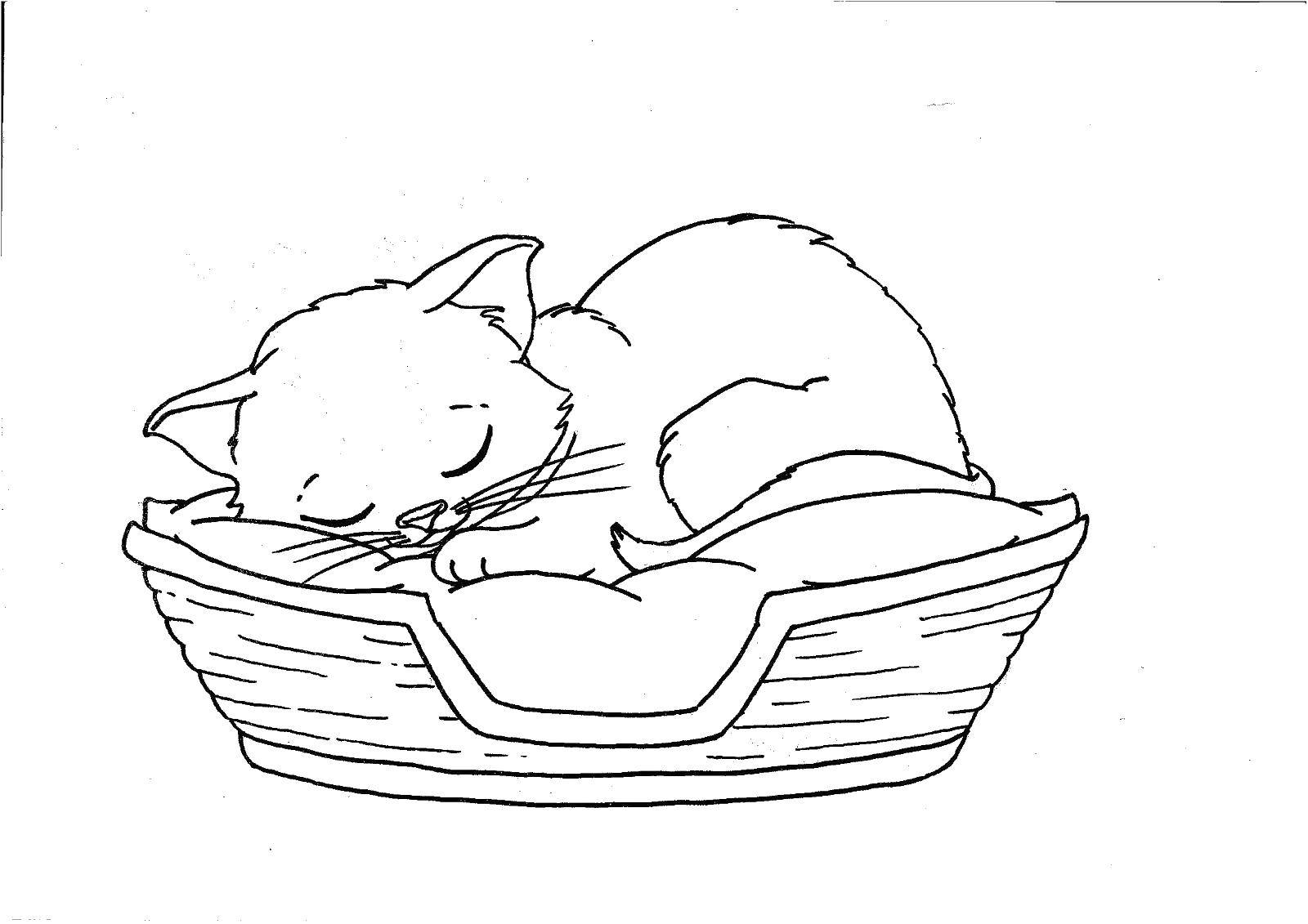Раскраска Спящий котенок Скачать ,котенок, коты, кошечки, животные,.  Распечатать 
