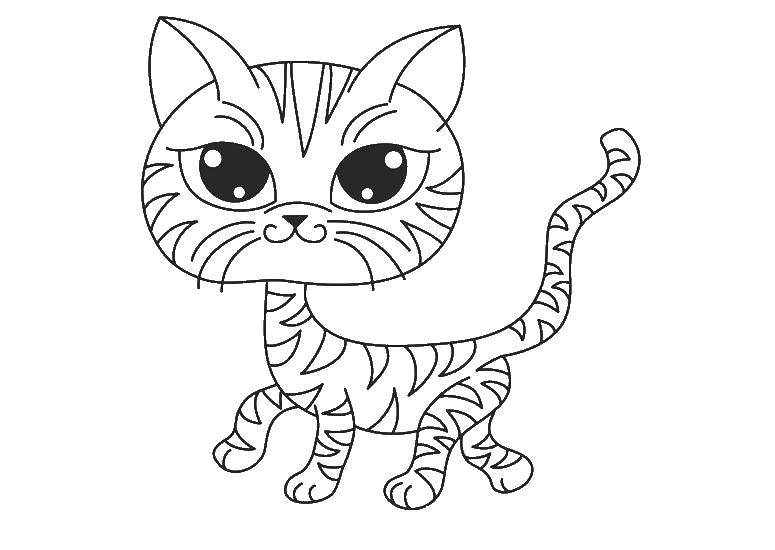 Раскраска Тигровая кошка Скачать ,кот, кошка,.  Распечатать 