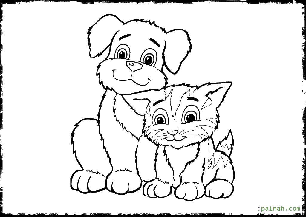 Название: Раскраска Щенок с котёнком. Категория: Коты и котята. Теги: Животные, котёнок.