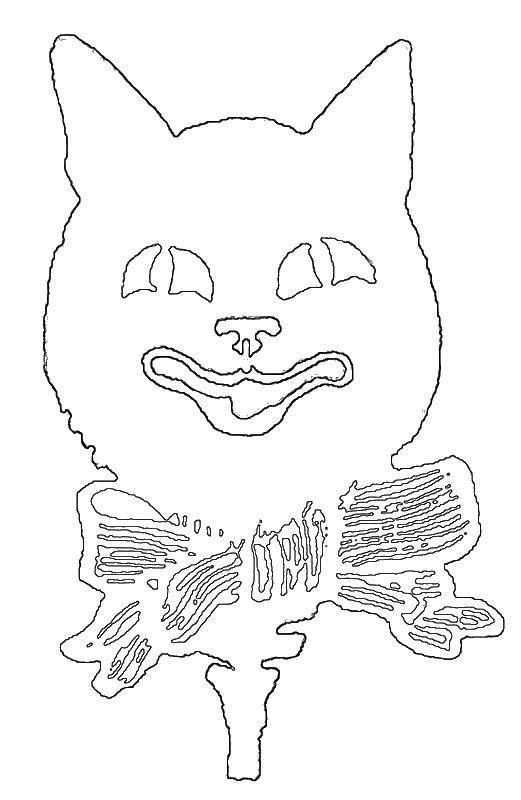 Раскраска Кошка Скачать ,кошка,.  Распечатать 