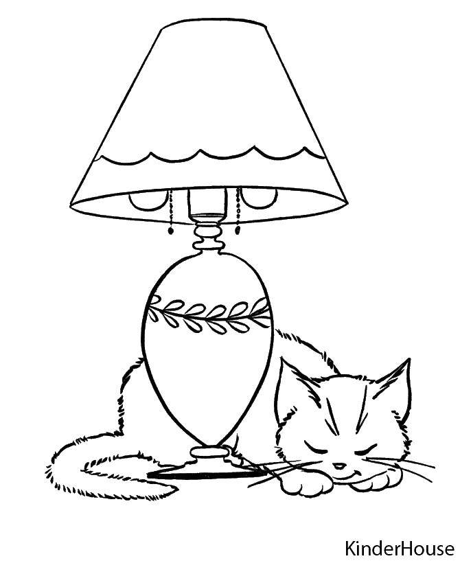 Раскраска Кошечка спит у лампы Скачать ,животные, кошка, котенок,.  Распечатать 