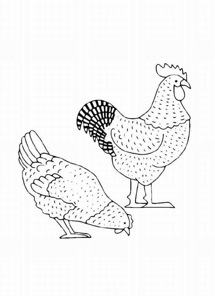 Название: Раскраска Рисунок петуха. Категория: домашние животные. Теги: Петух.