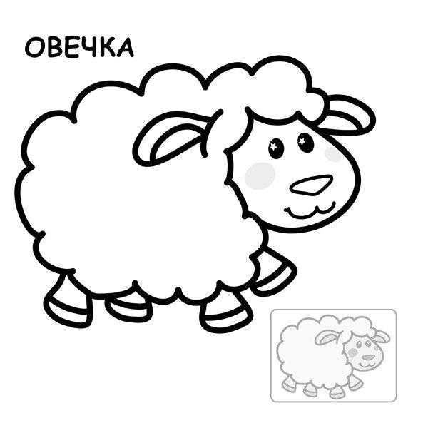 Раскраска Рисунок овечка Скачать ,овечка,.  Распечатать 