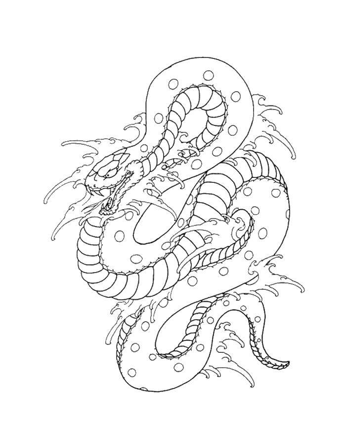 Раскраска Водная змея Скачать ,змея,.  Распечатать 