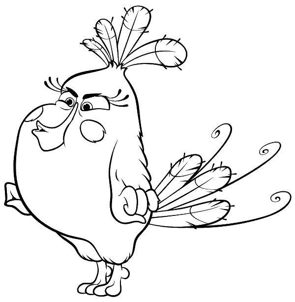 Название: Раскраска Птичка энгри бердс. Категория: angry birds. Теги: angry birds, птичка, игры.