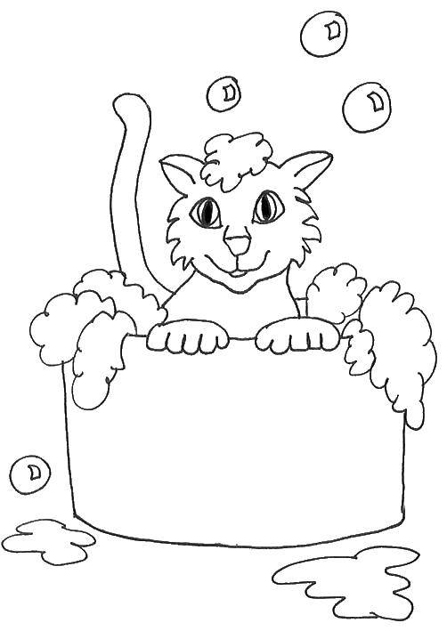 Раскраска Кошка моется Скачать ,ванна, кошка,.  Распечатать 